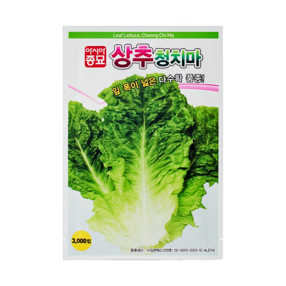 [아시아종묘] 상추청치마 3000립